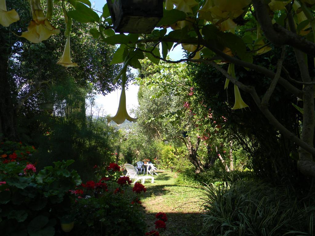 Villa Efterpi Kontokali Exteriér fotografie
